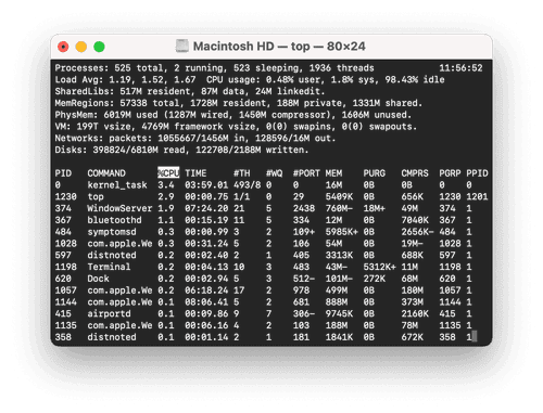 【初心者向け】Macターミナル超入門｜最初の一歩から丁寧に解説